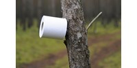 Mit használtak az ókori rómaiak vécépapír helyett?  