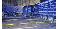 Ötven járművet tört össze Németországban egy ámokfutó lengyel kamionos