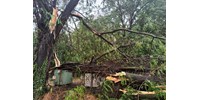  Tetőket, fákat és villanyvezetékeket sem kímélt a brutális vihar Baranyában - videó  