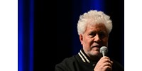 „A történelemkönyvekbe úgy fog bevonulni, mint a mai kor legnagyobb hibája” - Pedro Almodóvar nekiment Donald Trumpnak  