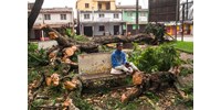  Egész falvakat sodort el egy ciklon Madagaszkáron  