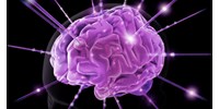  Az interneten keresztül programozhatják a Parkinson-kóros betegek agyát a pécsi orvosok  