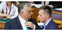 Videón, ahogy Orbán és Rogán reagál Magyar Péter állításaira