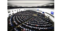 Egy fideszes EP-képviselő szerint nem lesz Orbán-Magyar vita Strasbourgban