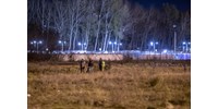  „Nyakmerevítővel egy erdőben kidobtak" - A Guardian hosszasan ír arról, hogyan toloncolják ki a súlyosan sérült migránsokat a magyar hatóságok  