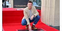 Ewan McGregor csillagot kapott a hollywoodi hírességek sétányán