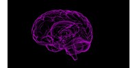  Magyar kutatók nagy felfedezése: az agytörzsünk is dolgozik az emlékeinken, de csak a rosszakon  