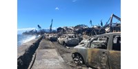  Még keresik Hawaii-on a tűzvész áldozatait  