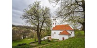 Szekszárdi berkenye lett az Év fája