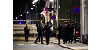  íjjal lövöldözött egy férfi a norvégiai Kongsbergben, többen meghaltak  