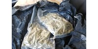  Húsz kiló drogot adtak fel csomagban, de a NAV lecsapott  