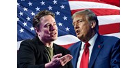 Néhány óra alatt dollármilliárdokat vesztett az egymás ellen forduló Donald Trump és Elon Musk  