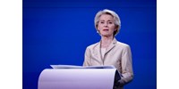 Rosszul lett egy utas a repülőn, Ursula von der Leyen látta el