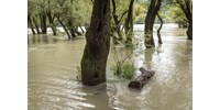  Árvíz: a homokzsák-töltéstől a kitelepítésekig mindenre felkészült a katasztrófavédelem  