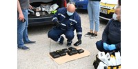  Két kiló kokaint és egy kiló marihuanát foglaltak le a Pest megyei rendőrök  
