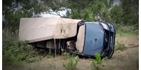  Meghalt egy turista, amikor szafarizókra támadt egy elefánt Zambiában  