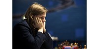 Rapport-ügy: Lemondott a sakkszövetség két elnökségi tagja