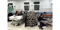 36 koraszülött csecsemő van életveszélyben Gázaváros legnagyobb kórházában, mert nincs áram az inkubátorok működtetéséhez