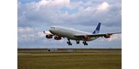  Egér miatt hajtott végre kényszerleszállást a Scandinavian Airlines egyik gépe  