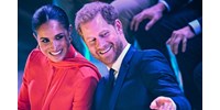 Kamilla királynő bugyijával és Károly vasalt cipőfűzőjével indít háborút a monarchia ellen a legújabb botránykönyv