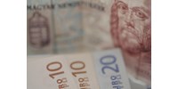 A Mol a régió harmadik legnagyobb cége, a top 100-ba befér már az Országos Dohányboltellátó is