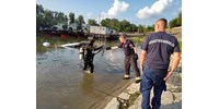  Hogyan történhetett a verőcei baleset és kellenek-e szigorúbb szabályok a magyar hajózásba?  