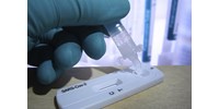  A BRFK nyomoz a Bayerné vezette Országos Vérellátó Szolgálat koronavírus-tesztjei miatt  