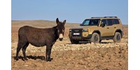 Ide az összes kátyúval! Afrikában kínoztuk meg a vadonatúj Toyota Land Cruisert