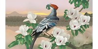  120 millió éve élt madár gyomortartalmának elemzésével tettek nagy felfedezést kínai kutatók  