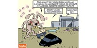 Marabu Féknyúz: Toxikus