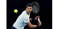  Nem kapott vízumot Djokovic, úgy tűnik, lemarad az AusOpenről  