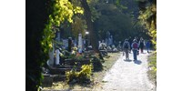 70 millióval számlázott túl a cég, a Budapesti Közművek inkább ledolgoztatja