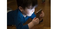  Már a 2 évesek is interneteznek: felmérték a magyarok internetezési szokásait  