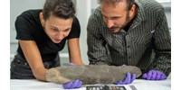  Találtak egy 200 000 éves fejszét, de még mekkorát  