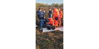  Öngyilkos akart lenni egy férfi, drónnal találta meg a rendőrség a napraforgó tábla közepén  