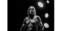 Nem csak a farokméregetés miatt különleges Iggy Pop új nagylemeze