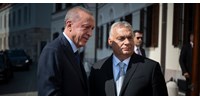  Az Erdogan emberei által bántalmazott férfi szerint a nyomozás megtagadása “politikai döntés”  