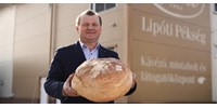  Az ellenállhatatlan nosztalgia kifli és a pityókás kenyér története Lipótról  