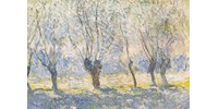 Évtizedek óta először Monet-festményt árvereznek egy párizsi aukción, egy másikat New Yorkban  