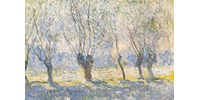 Évtizedek óta először Monet-festményt árvereznek egy párizsi aukción, egy másikat New Yorkban