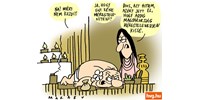 Marabu Féknyúz: Ájurvéda