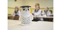  Itt vannak a magyarérettségi hivatalos megoldásai  