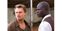 Dolgozott Spielberggel, DiCaprióval, van két Oscar-jelölése, játszott a Gladiátorban, mégsem tud megélni a sztár