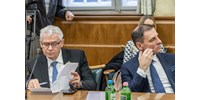  24.hu: Polt Pétert az Alkotmánybíróság elnökévé emelné a fideszes kétharmad  