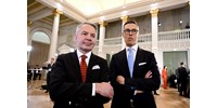  Fej-fej mellett halad a választásokon a finn zölpárti és a jobbközép elnökjelölt  