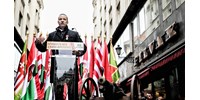  Závecz: A Fidesz csökkent, a nyár nyertese a Mi Hazánk és a Kutyapárt  