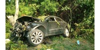  Elhunyt a sofőr, akinek autója kisodródva fára csavarodott Gárdonyban  