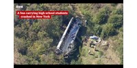  15 méteres szakadékba zuhant egy iskolabusz New Yorkban - videó  
