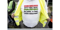  Elfogták a Tisza Párt aktivistájának támadóját  