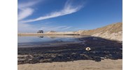  Rengeteg olaj szennyezte be Kalifornia népszerű tengerpartját  